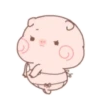 Little pigs 25