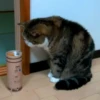 michis mov ‍ 26