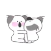 Koala White   Mov 12