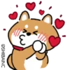 Shiba Dog 1 Movi 25