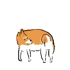 Shiba Dog 1 Movi 26