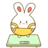 ️Bunny pantalones  MOV 18