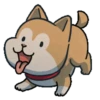 Shiba Dog 1 Movi 27