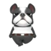 Mangae 20