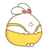 ️Bunny pantalones  MOV 19