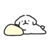 ️Chami dog   MOV 28