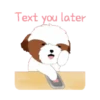 tierno  perrito 23