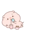 Little pigs 28