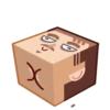 Human Box 14