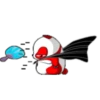 Panda Rojo 21
