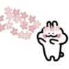 ️Flower rabbit   MOV 19