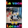 Variados 3 Movi 27