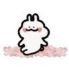 ️Flower rabbit   MOV 20