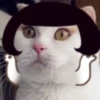 meow Mov 19