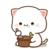 MOCHIS CAT Extra"L" MOV 23