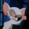 Pinky y Cerebro 2