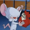 Pinky y Cerebro 4