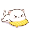 MOCHIS CAT Extra"J" MOV 6