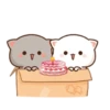 MOCHIS CAT Extra"J" MOV 7