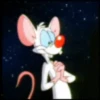 Pinky y Cerebro 5