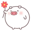 ️Cerdito Pug   MOV 5