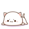 MOCHIS CAT Extra"J" MOV 10