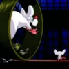Pinky y Cerebro 8