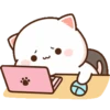MOCHIS CAT Extra"M" MOV 6