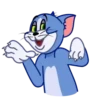 Gato Tom 6
