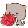 MOCHIS CAT Extra"M" MOV 7