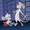 Pinky y Cerebro 10