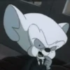 Pinky y Cerebro 11