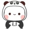Mochi Panda (mov) 8