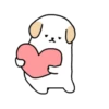 ️Adorable perrito   MOV 11
