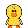 ️Pollito amarillo   MOV 10
