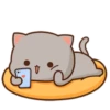 MOCHIS CAT Extra"J" MOV 12