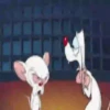 Pinky y Cerebro 12
