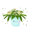 Florecitas lindas 11