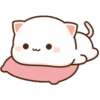MOCHIS CAT Extra"M" MOV 8