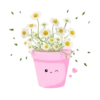 Florecitas lindas 12