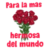Amor 2 (frases) 12