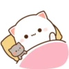MOCHIS CAT Extra"M" MOV 10
