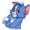 Gato Tom 15