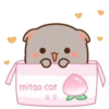MOCHIS CAT Extra"J" MOV 15