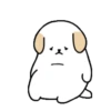 ️Adorable perrito   MOV 17