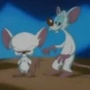 Pinky y Cerebro 15