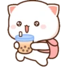 MOCHIS CAT Extra"M" MOV 13