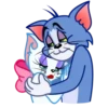 Gato Tom 16