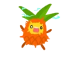 P i n e a p p l e 14