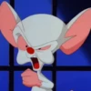 Pinky y Cerebro 17